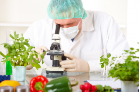 ¿Qué son los alimentos transgénicos? ¿Tienen riesgos para la salud? Estas y otras cuestiones las tratamos en este artículo.
