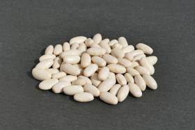 Descubre las propiedades de las alubias. Son altamente nutritivas y saludables. Forman parte de nuestra dieta mediterránea.