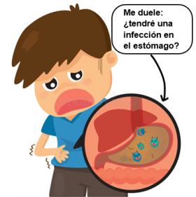 ¿Has oído hablar del Helicobacter pylori? Es una bacteria que puede estar en el estómago sin causar problemas. Otras veces es causa de gastritis. Aquí puede saber más.