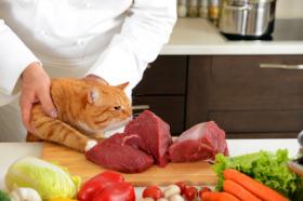 Toxoplasmosis