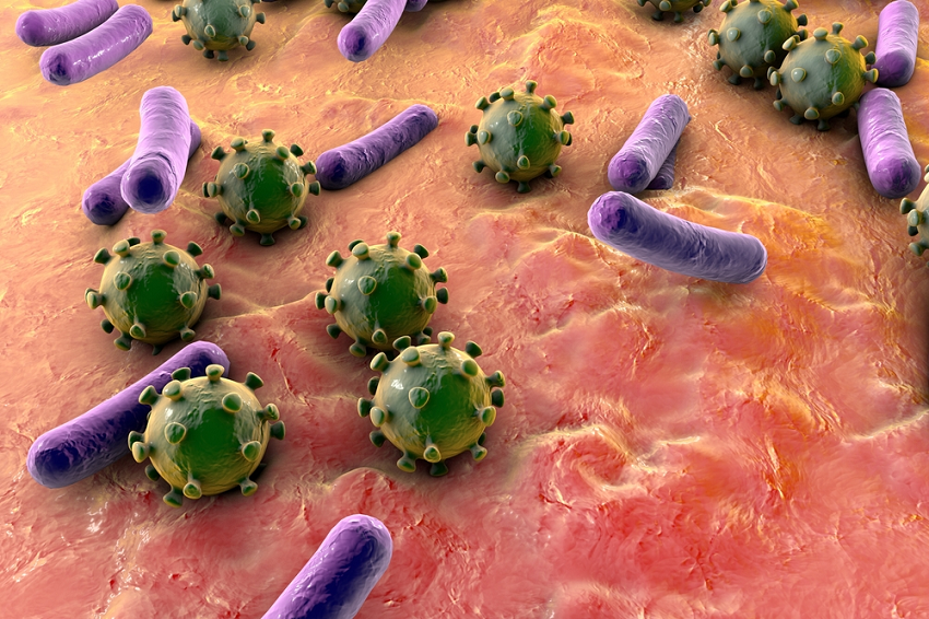 Virus y bacterias. ¿En qué se para que el pediatra siempre me esté hablando de | Familia y Salud