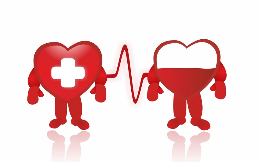 Donar sangre. ¿Puedo donar? | Familia y Salud