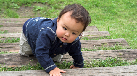 Niños pequeños (1 a 2 años), Desarrollo infantil, NCBDDD