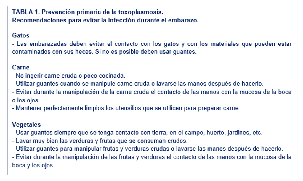 Que es toxoplasma